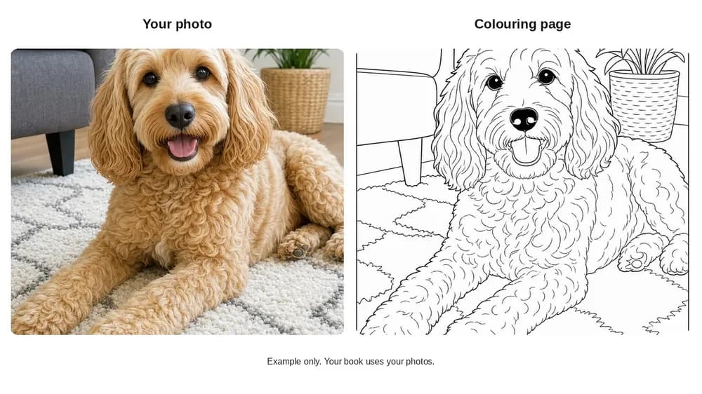 Before and after: pet photo and colouring page outline